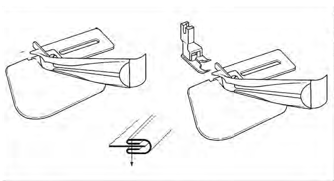 Orlatore